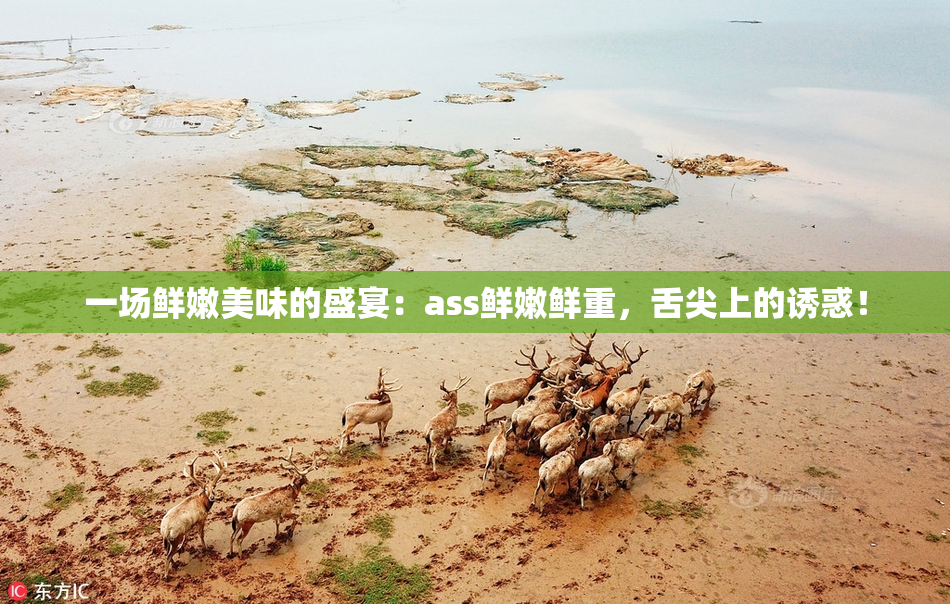 一场鲜嫩美味的盛宴：ass鲜嫩鲜重，舌尖上的诱惑！