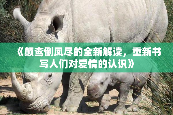 《颠鸾倒凤尽的全新解读，重新书写人们对爱情的认识》