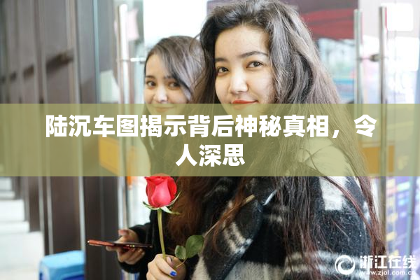 陆沉车图揭示背后神秘真相，令人深思