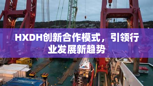 HXDH创新合作模式，引领行业发展新趋势