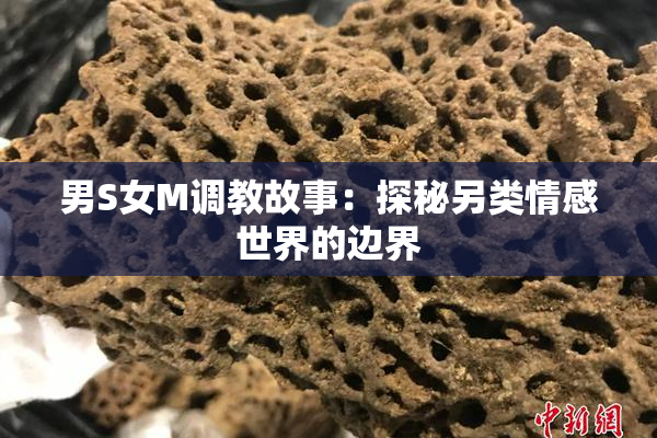 男S女M调教故事：探秘另类情感世界的边界