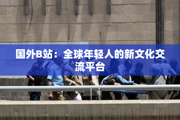 国外B站：全球年轻人的新文化交流平台