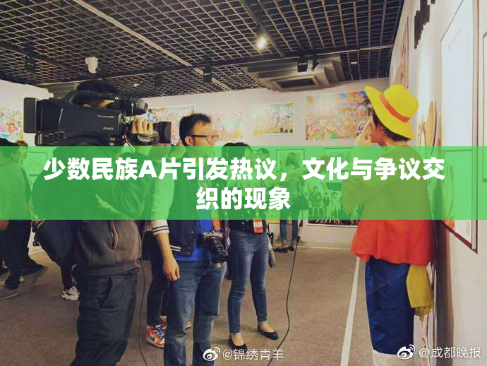少数民族A片引发热议，文化与争议交织的现象