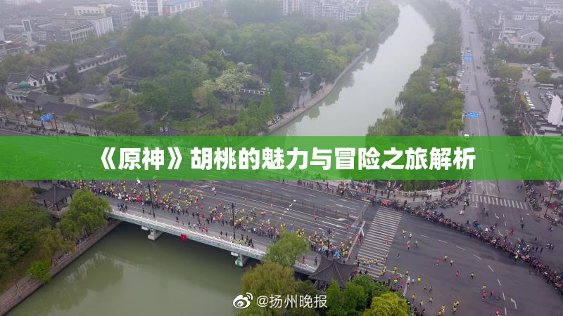 《原神》胡桃的魅力与冒险之旅解析
