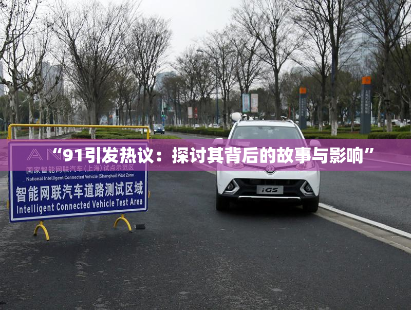 “91引发热议：探讨其背后的故事与影响”