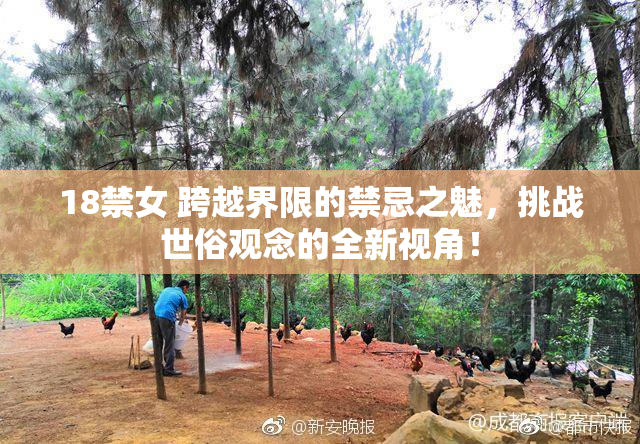18禁女 跨越界限的禁忌之魅，挑战世俗观念的全新视角！
