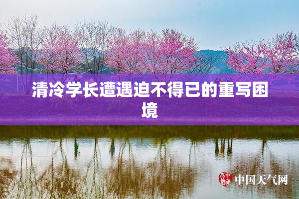 清冷学长遭遇迫不得已的重写困境