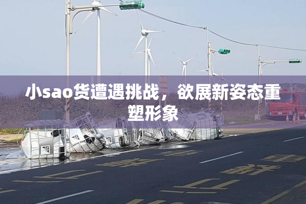 小sao货遭遇挑战，欲展新姿态重塑形象