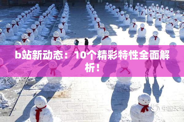 b站新动态：10个精彩特性全面解析！