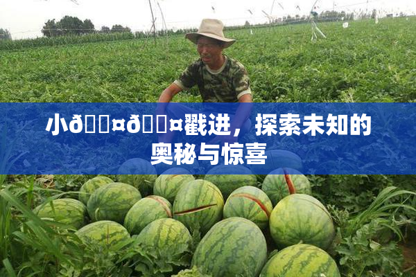 小🐤🐤戳进，探索未知的奥秘与惊喜