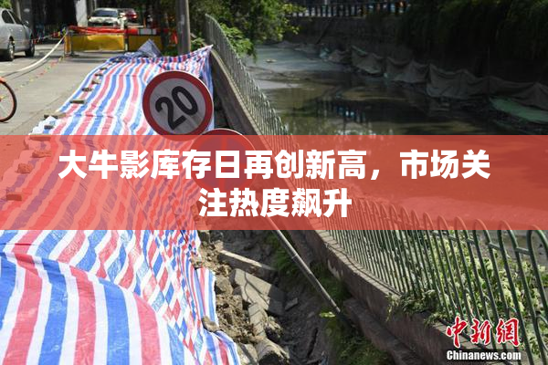 大牛影库存日再创新高，市场关注热度飙升