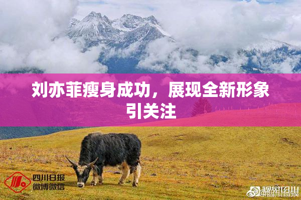 刘亦菲瘦身成功，展现全新形象引关注