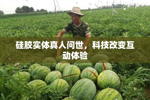 硅胶实体真人问世，科技改变互动体验