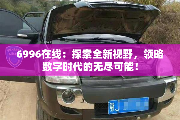 6996在线：探索全新视野，领略数字时代的无尽可能！
