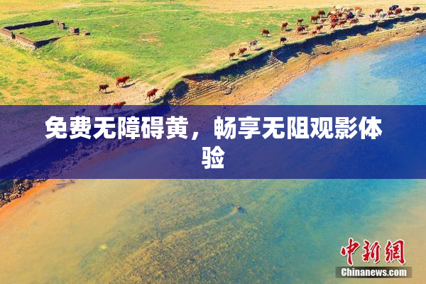 免费无障碍黄，畅享无阻观影体验