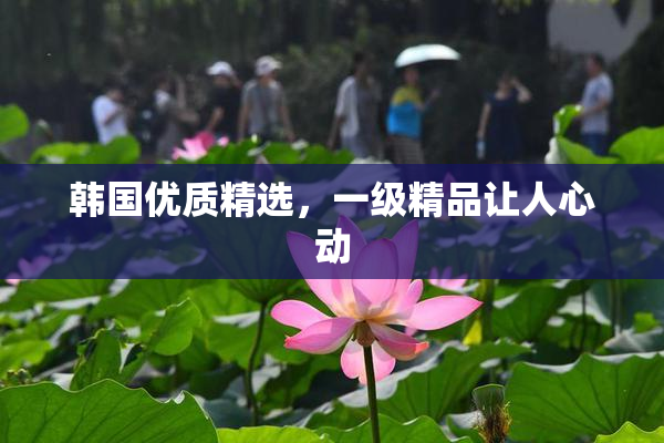 韩国优质精选，一级精品让人心动