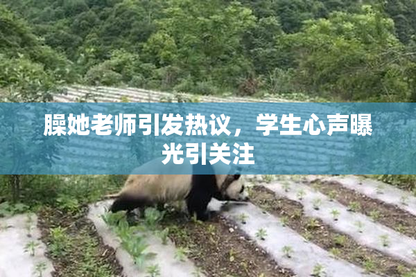 臊她老师引发热议，学生心声曝光引关注