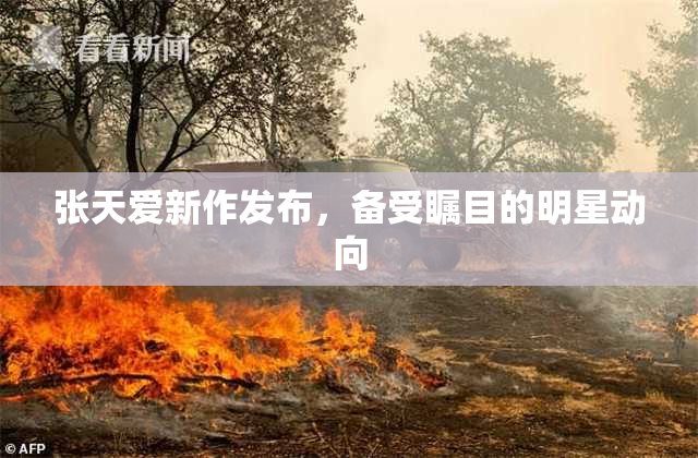 张天爱新作发布，备受瞩目的明星动向