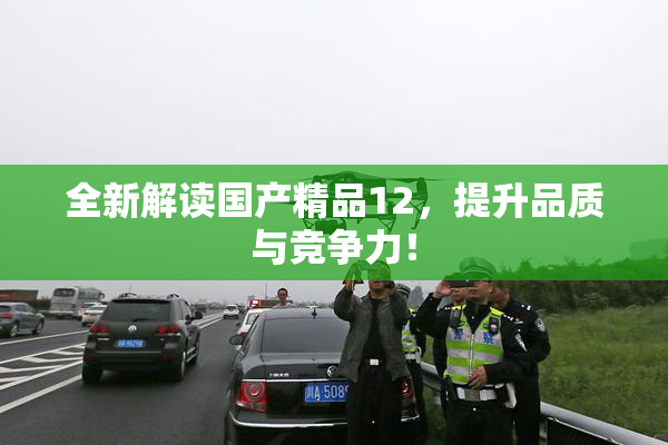全新解读国产精品12，提升品质与竞争力！