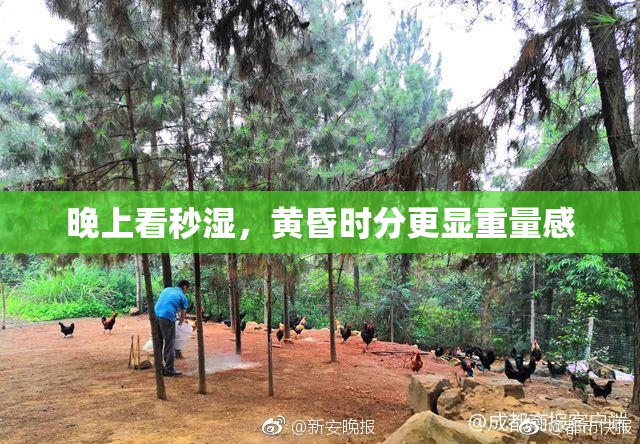 晚上看秒湿，黄昏时分更显重量感