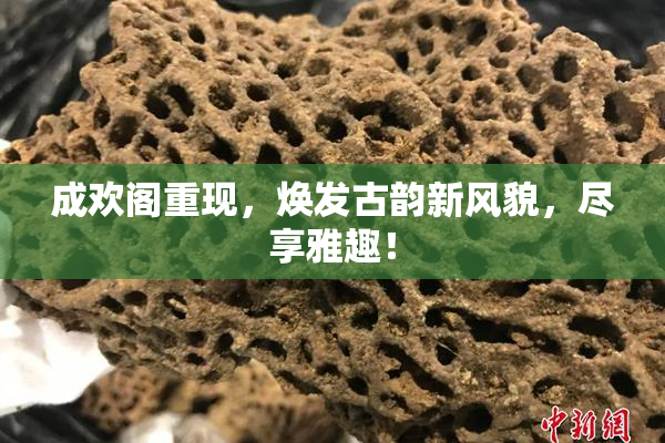 成欢阁重现，焕发古韵新风貌，尽享雅趣！