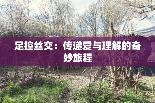 足控丝交：传递爱与理解的奇妙旅程
