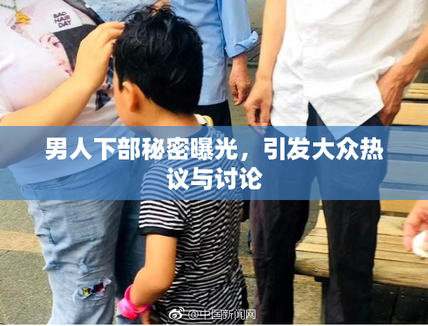 男人下部秘密曝光，引发大众热议与讨论