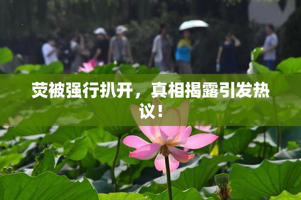 荧被强行扒开，真相揭露引发热议！