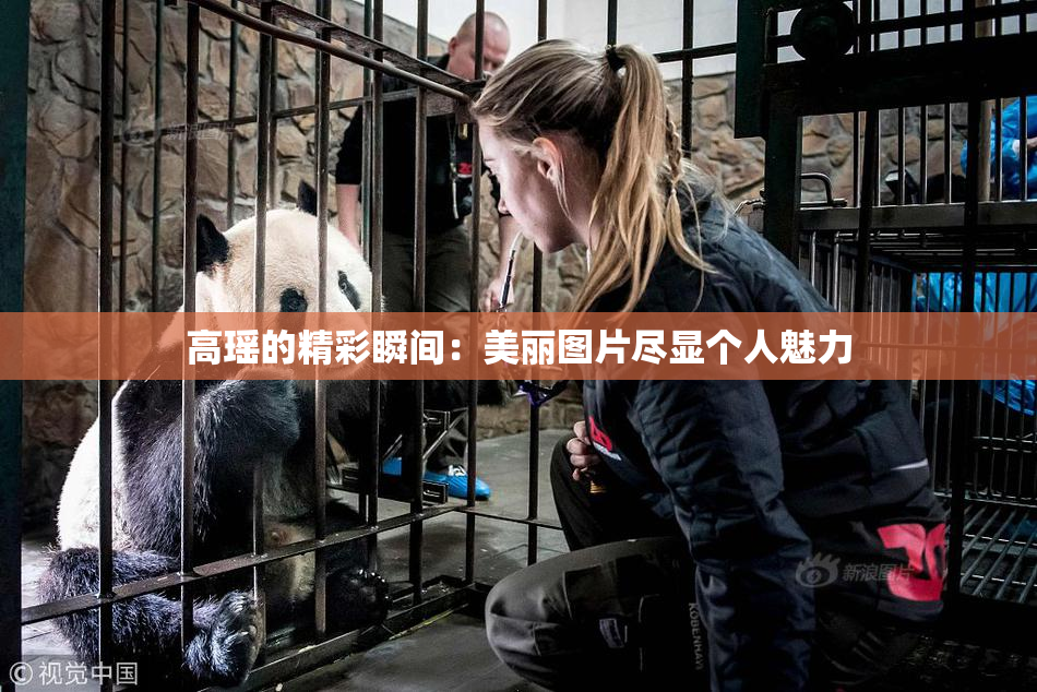 高瑶的精彩瞬间：美丽图片尽显个人魅力