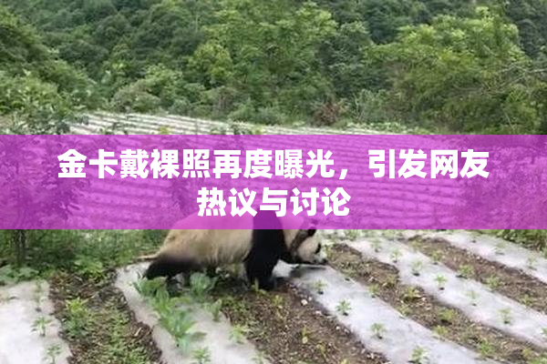 金卡戴裸照再度曝光，引发网友热议与讨论