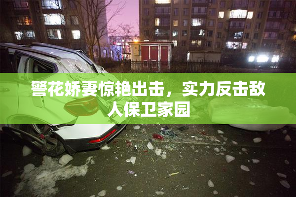 警花娇妻惊艳出击，实力反击敌人保卫家园