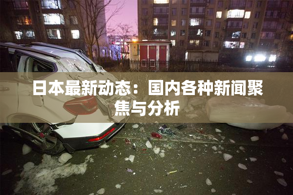 日本最新动态：国内各种新闻聚焦与分析