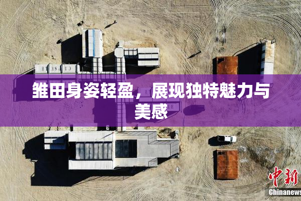 雏田身姿轻盈，展现独特魅力与美感