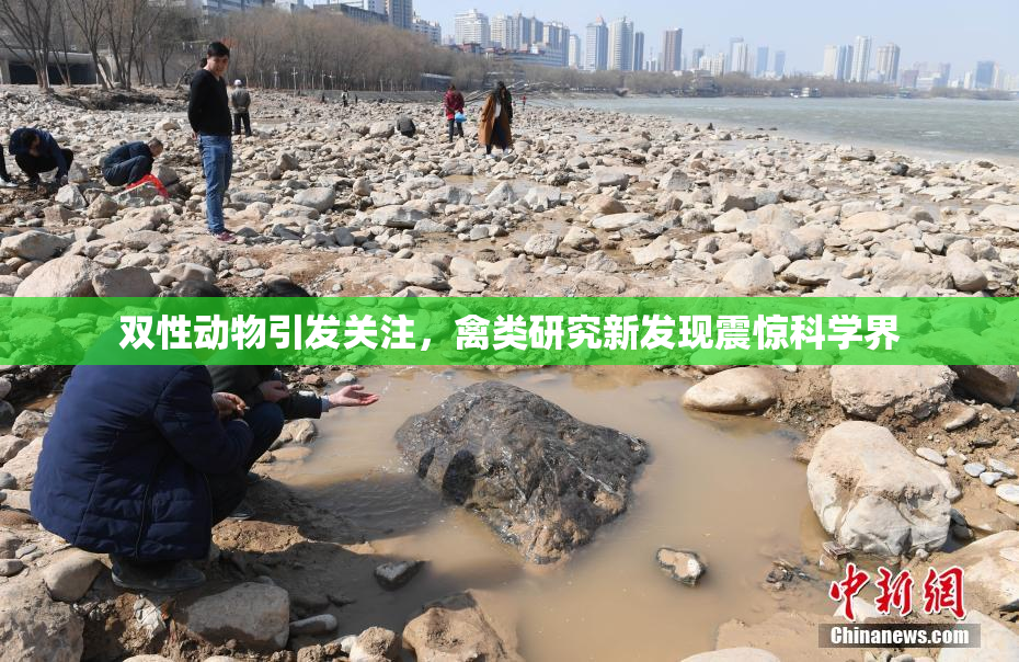 双性动物引发关注，禽类研究新发现震惊科学界