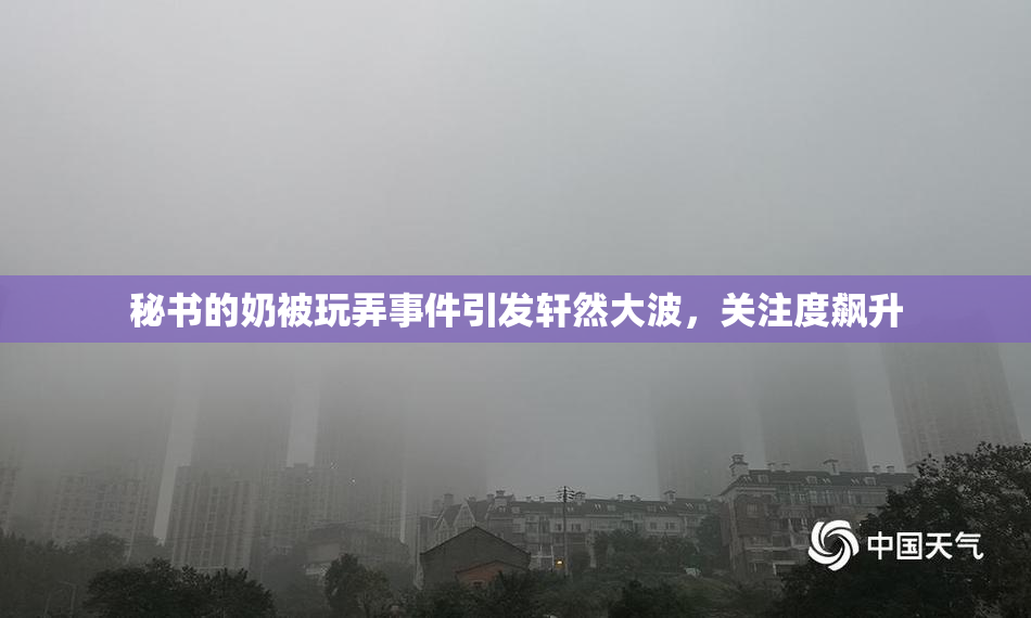 秘书的奶被玩弄事件引发轩然大波，关注度飙升