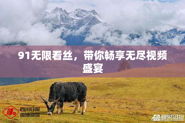 91无限看丝，带你畅享无尽视频盛宴