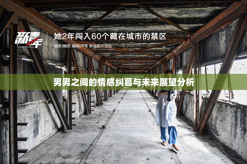 男男之间的情感纠葛与未来展望分析