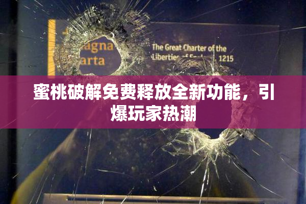 蜜桃破解免费释放全新功能，引爆玩家热潮
