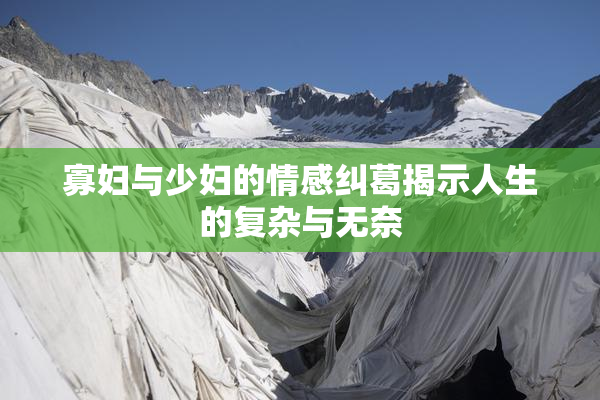 寡妇与少妇的情感纠葛揭示人生的复杂与无奈
