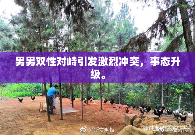 男男双性对峙引发激烈冲突，事态升级。