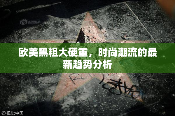 欧美黑粗大硬重，时尚潮流的最新趋势分析