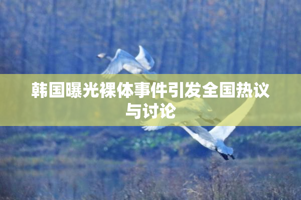 韩国曝光裸体事件引发全国热议与讨论