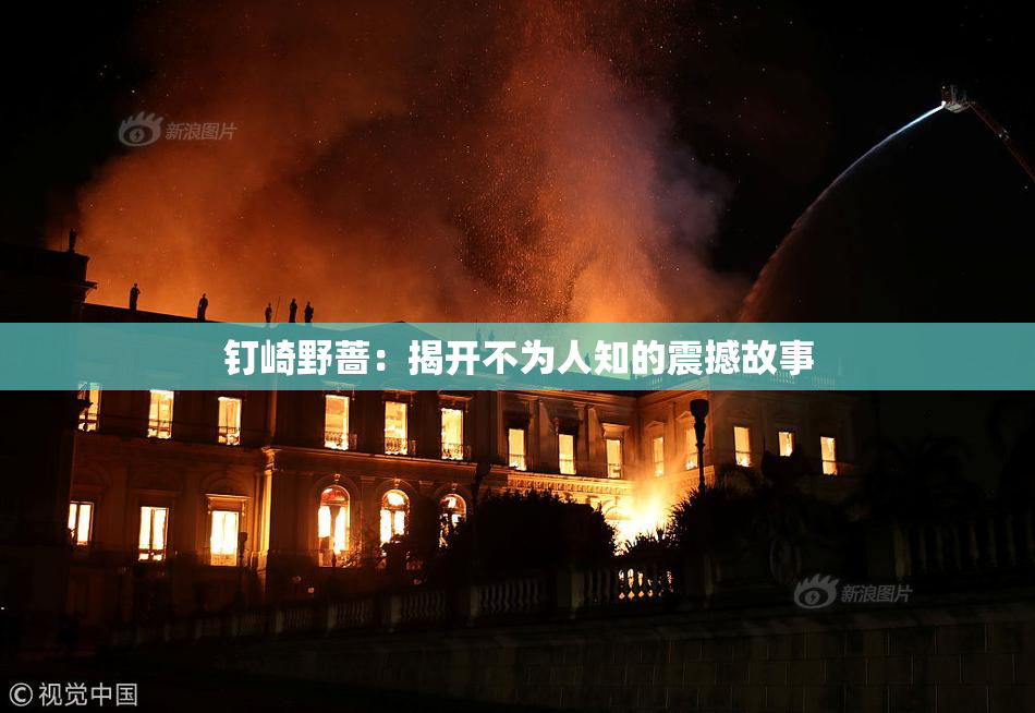 钉崎野蔷：揭开不为人知的震撼故事