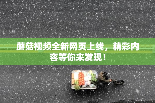 蘑菇视频全新网页上线，精彩内容等你来发现！