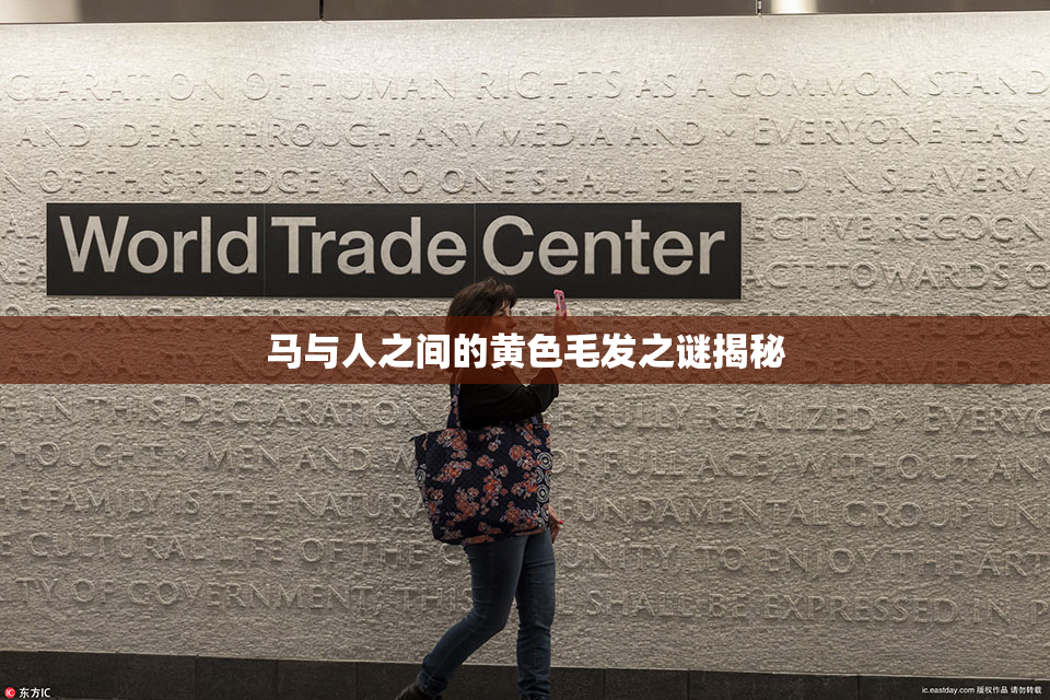 马与人之间的黄色毛发之谜揭秘