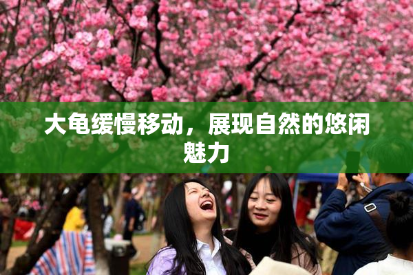 大龟缓慢移动，展现自然的悠闲魅力