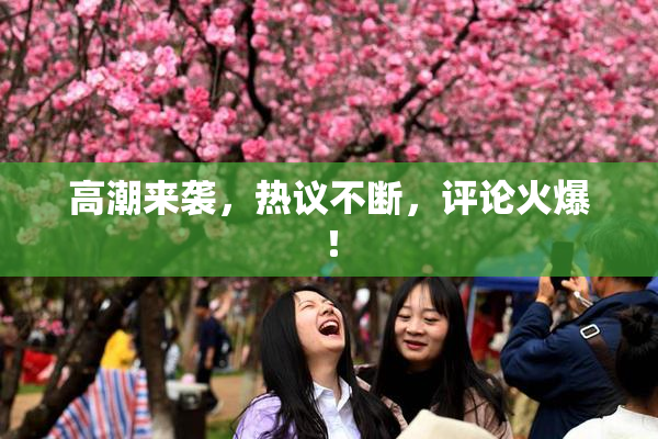 高潮来袭，热议不断，评论火爆！