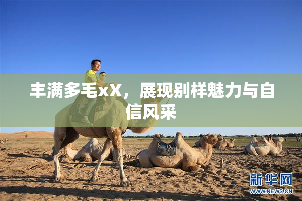 丰满多毛xX，展现别样魅力与自信风采
