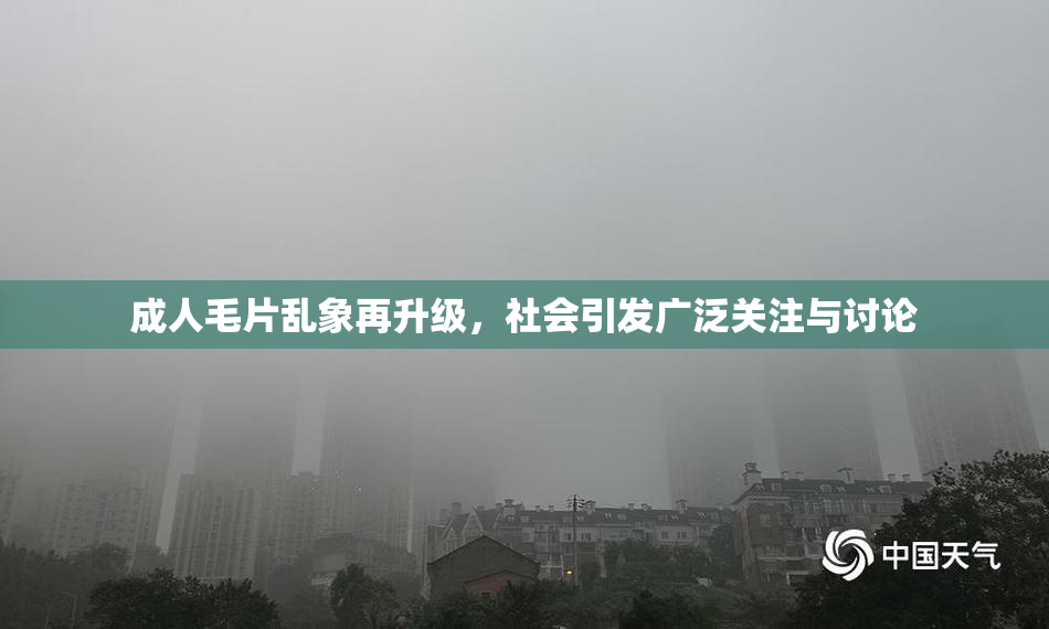成人毛片乱象再升级，社会引发广泛关注与讨论