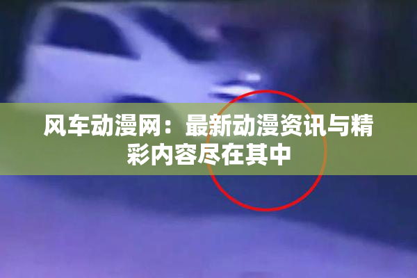 风车动漫网：最新动漫资讯与精彩内容尽在其中